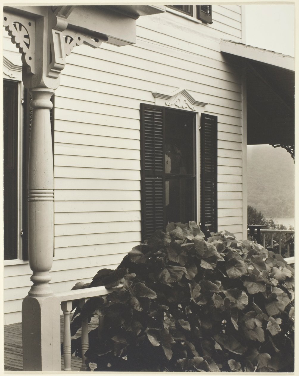 Casa y hojas de parra de Alfred Stieglitz