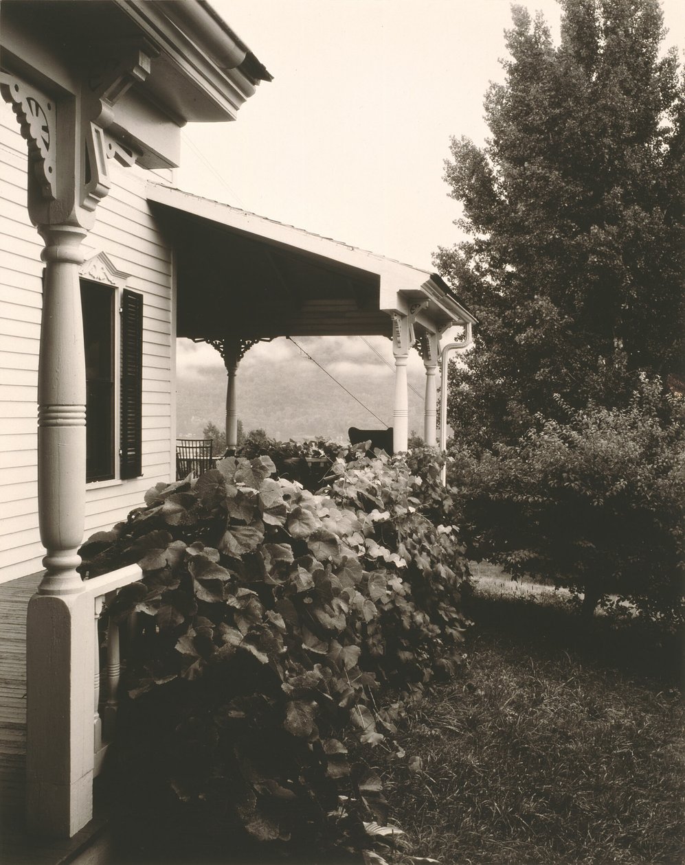 Casa y hojas de parra de Alfred Stieglitz