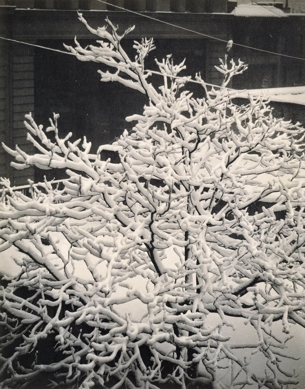 Fuera de la ventana - 291 - N.Y. de Alfred Stieglitz