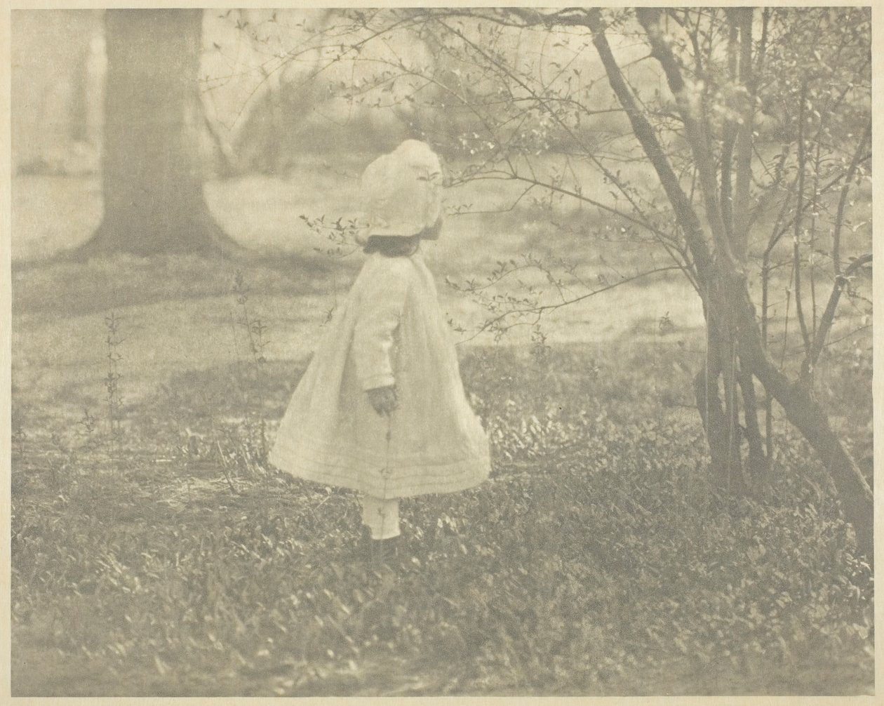 Primavera - El niño, 1901 de Alfred Stieglitz