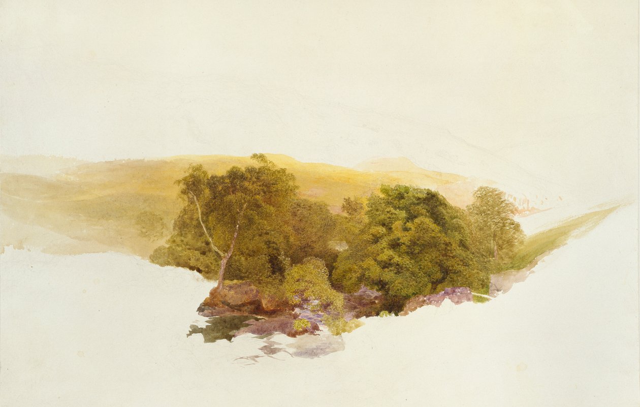 Colina de Martin, Dockwigg de Alfred William Hunt