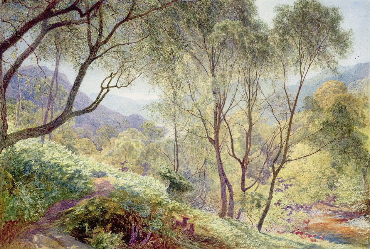 Ullswater desde Gowbarrow Park, 1864 de Alfred William Hunt