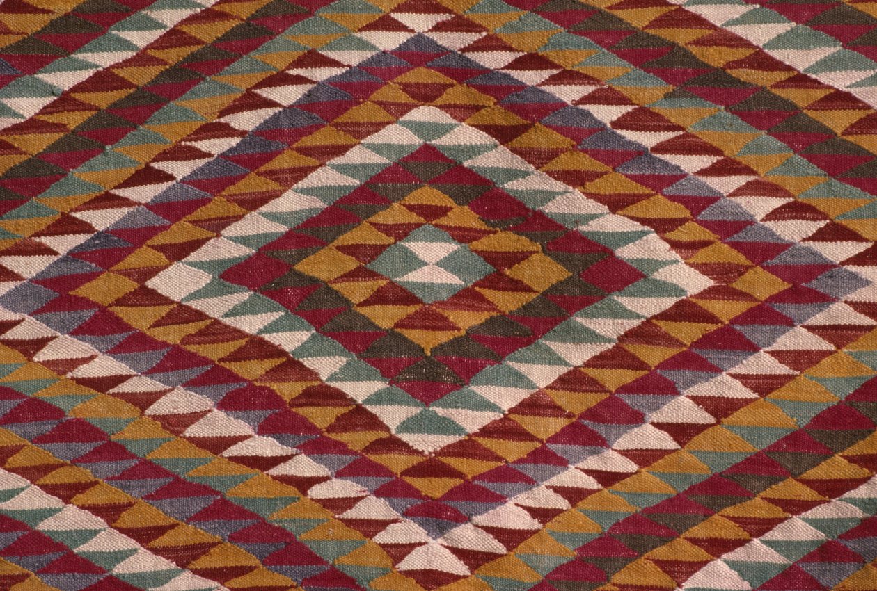 Alfombra del valle de Mzab (detalle) de Algerian School