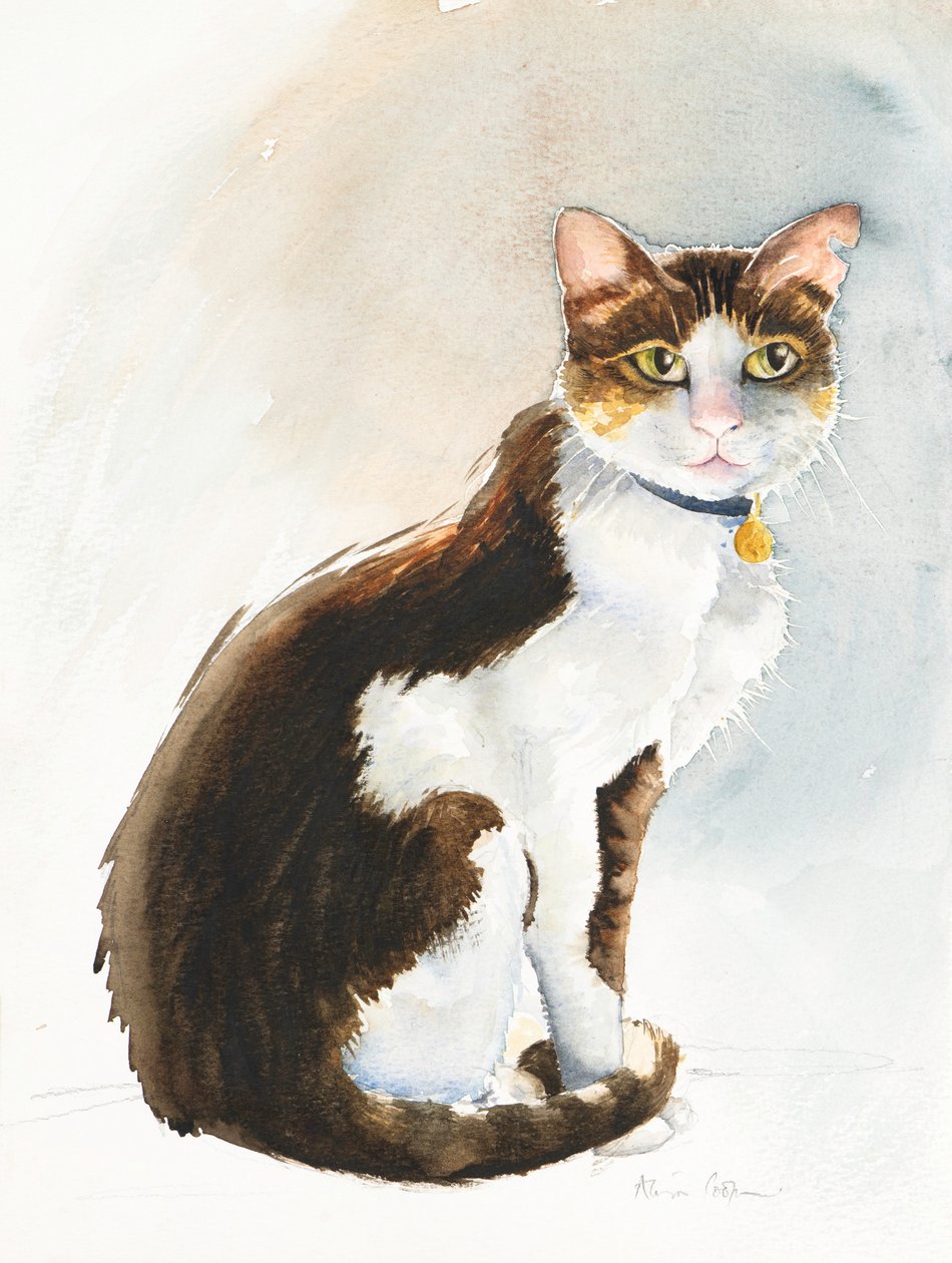 Dave el gato saudí, 2019 (acuarela) de Alison Cooper