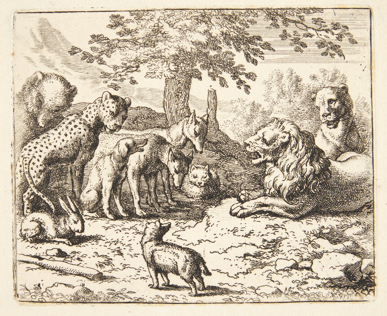 Consejo del León de Allaert van Everdingen