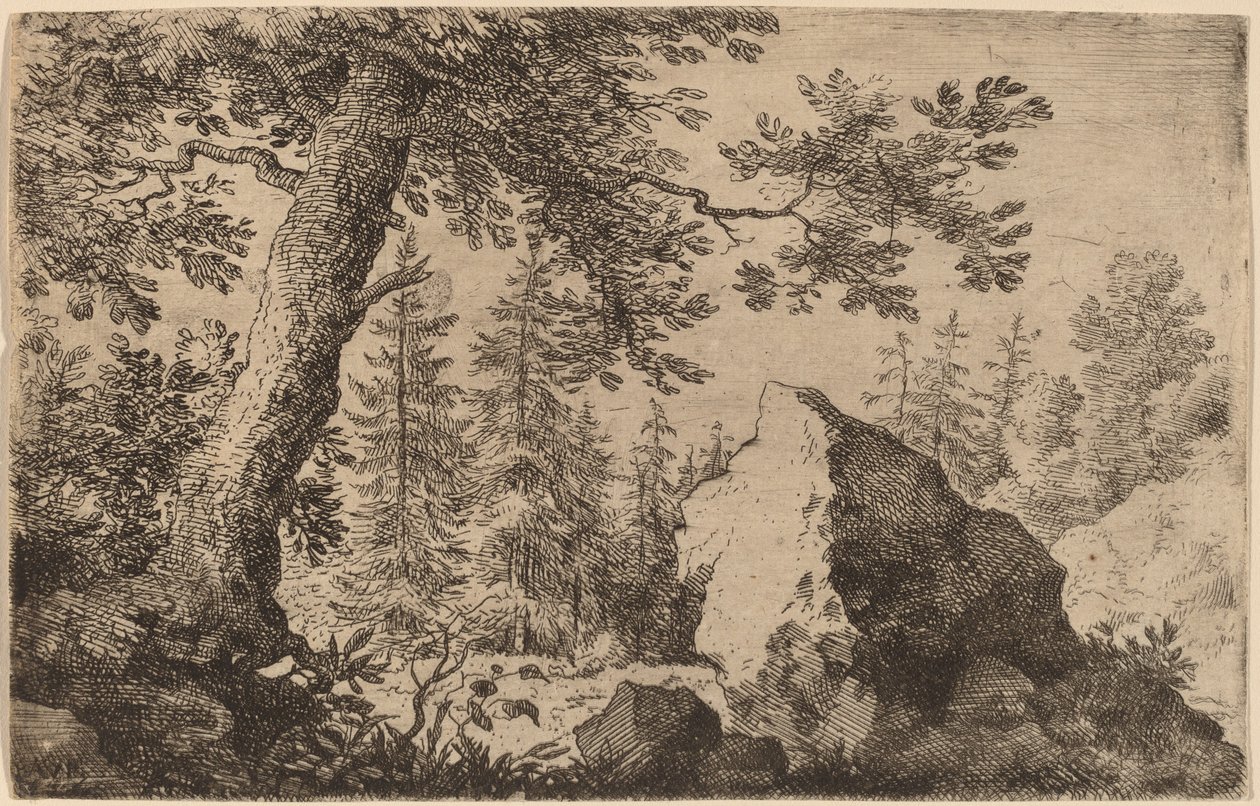 Roca en el bosque de Allart van Everdingen