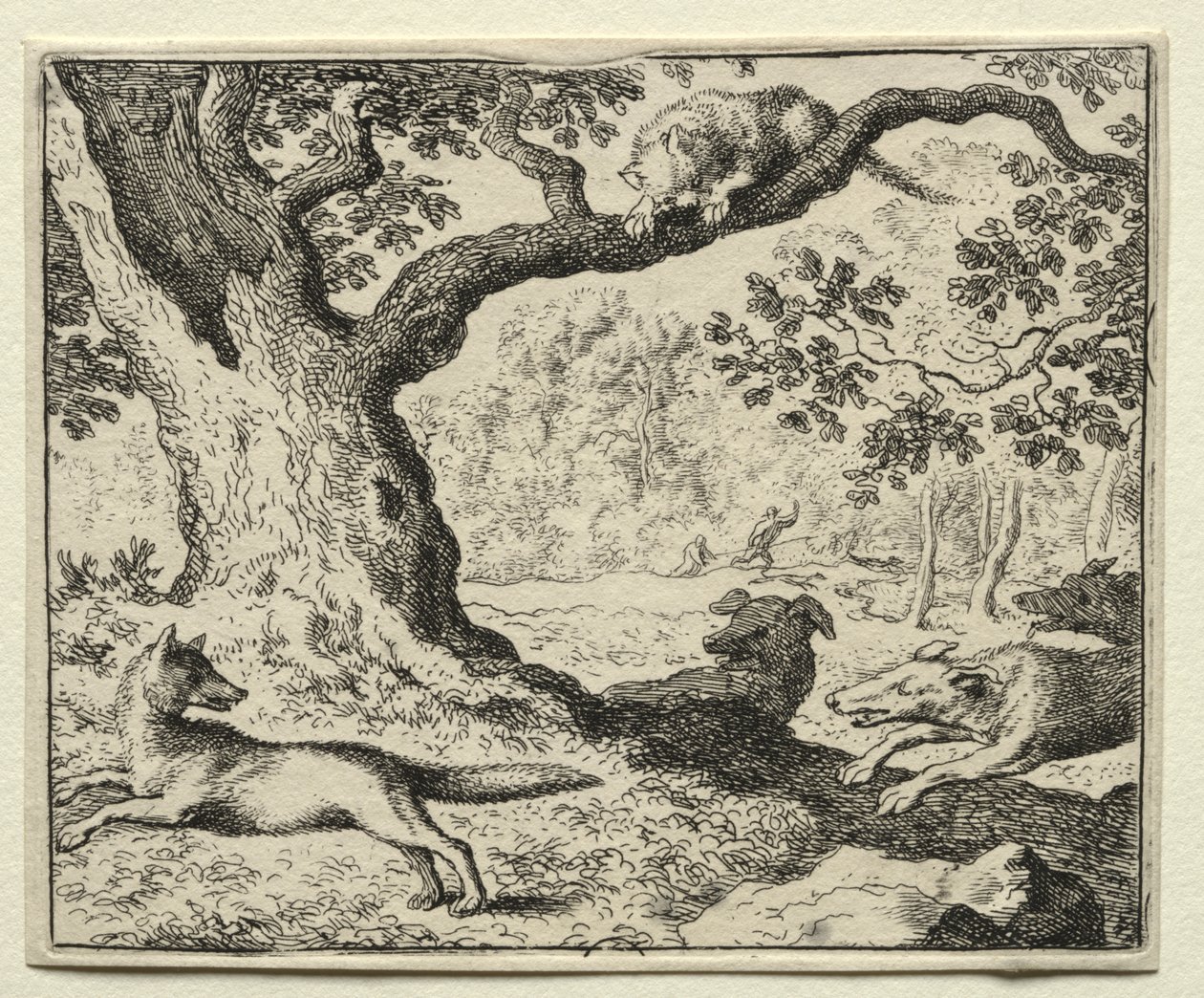 Reynard the Fox:  The Disloyal Cat de Allart van Everdingen