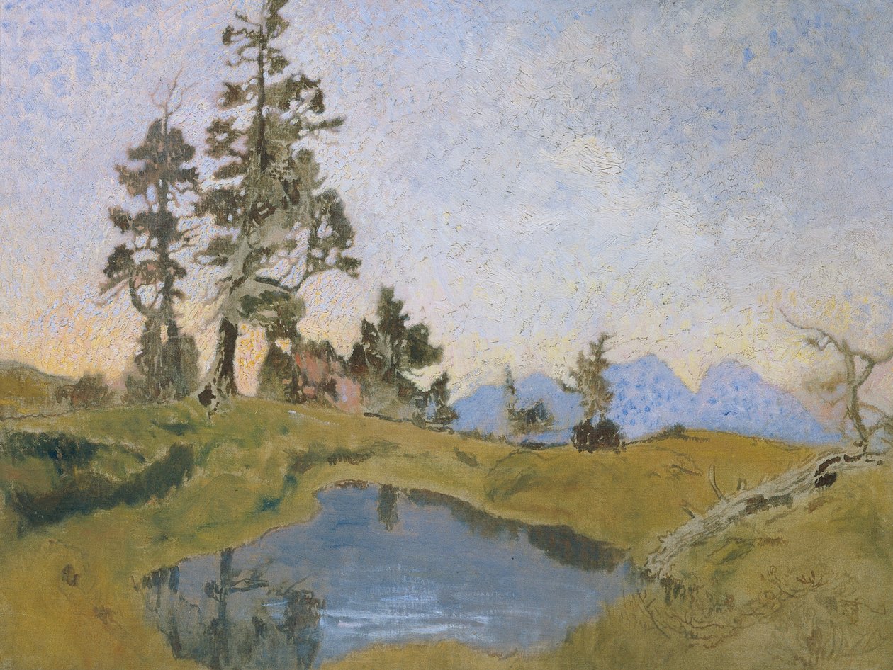 Scheiblahn con pino piñonero de Alois Penz