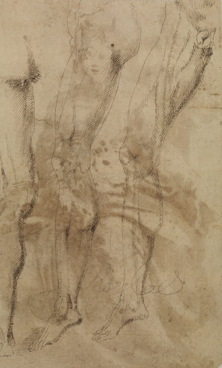 Tres estudios de una pierna masculina, c.1637 de Alonso Berruguete
