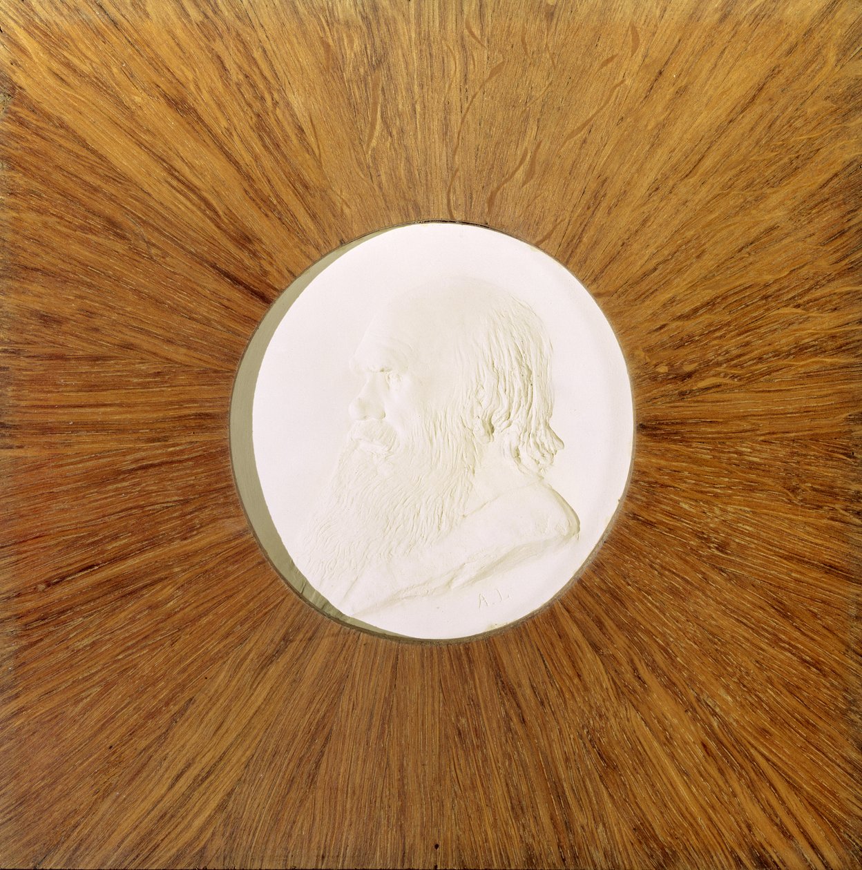 Charles Darwin (1809-82) c.1881 de Alphonse Legros