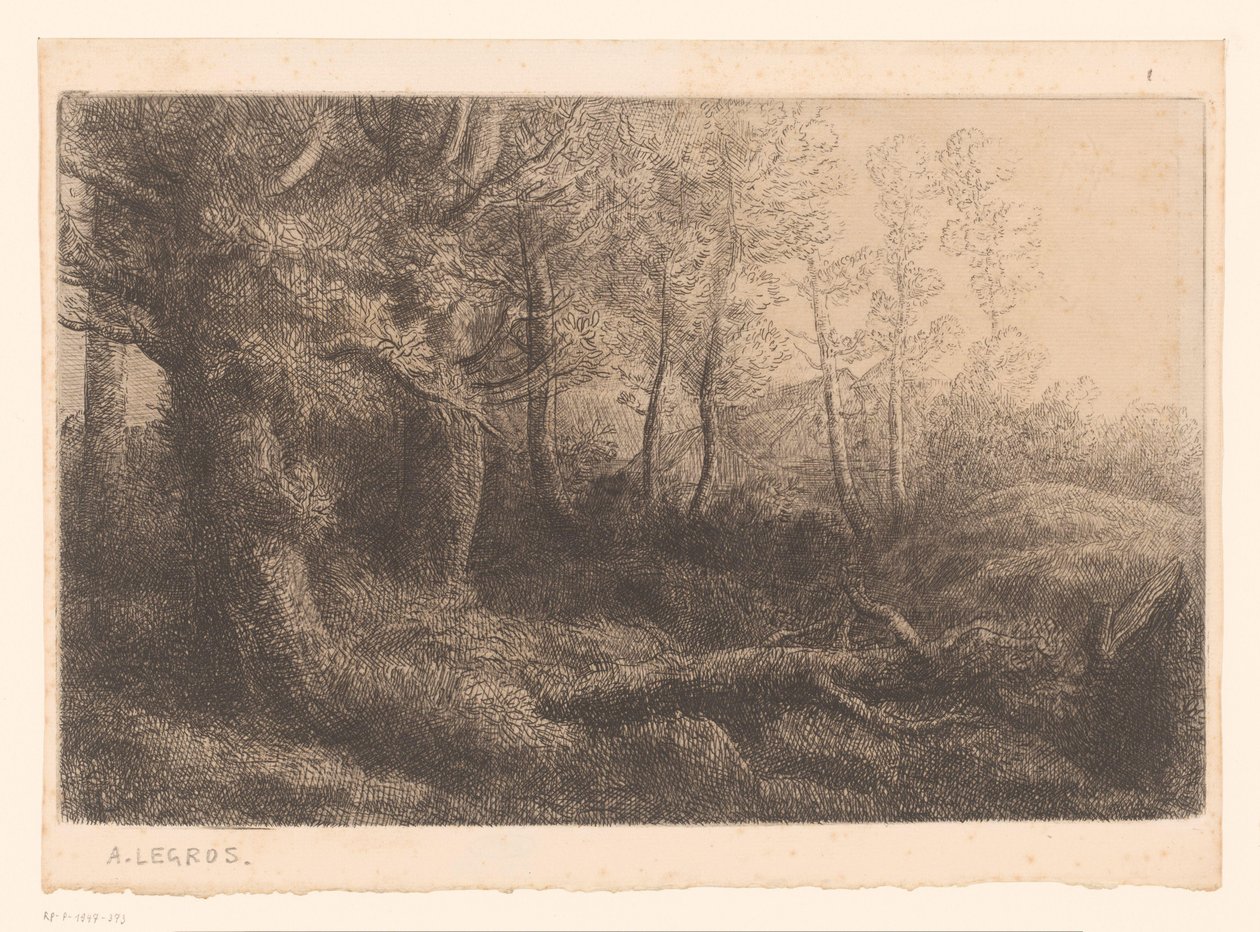 Vista del bosque de Alphonse Legros (attributed to)