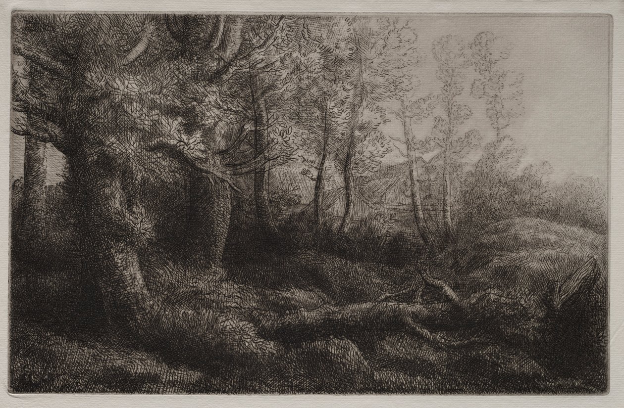 Un Estudio del Bosque de Alphonse Legros