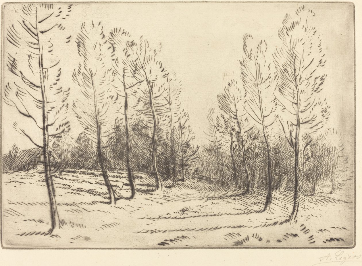 Avenida de álamos de Alphonse Legros