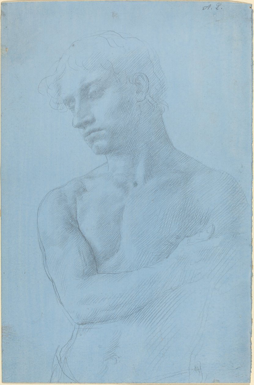 Busto de Hombre Desnudo de Alphonse Legros