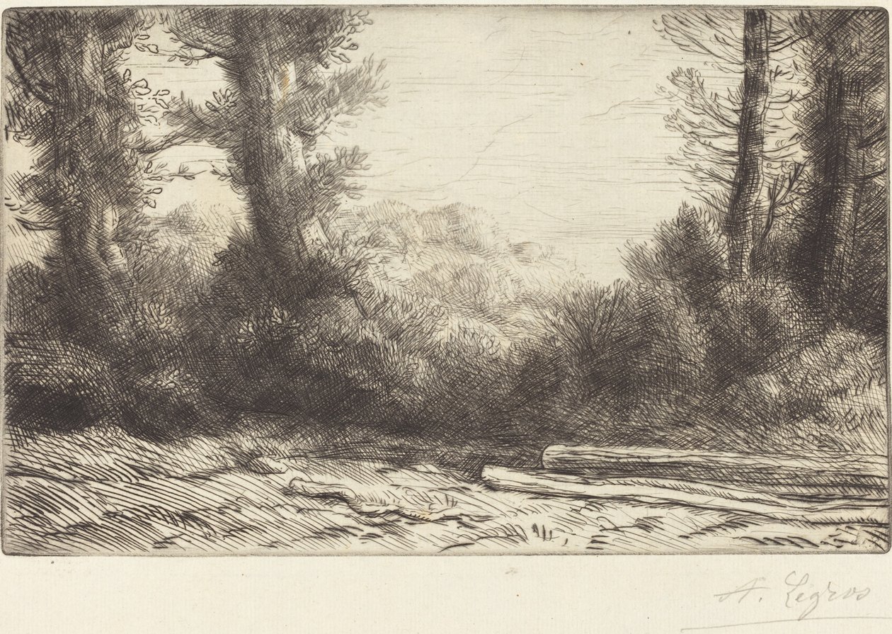 Borde de un bosque (Lisiere de bois) de Alphonse Legros