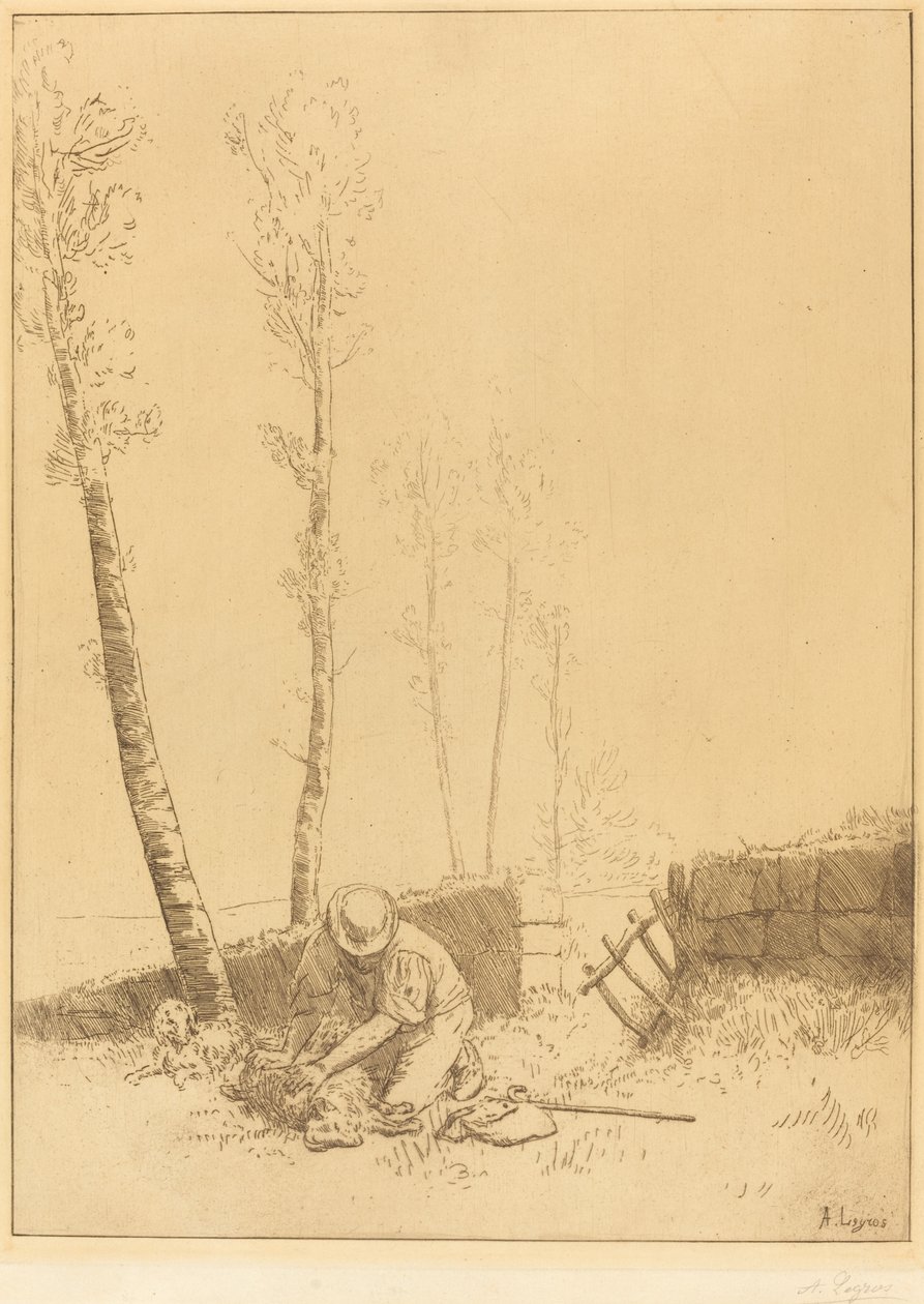 Encontrando la oveja de Alphonse Legros