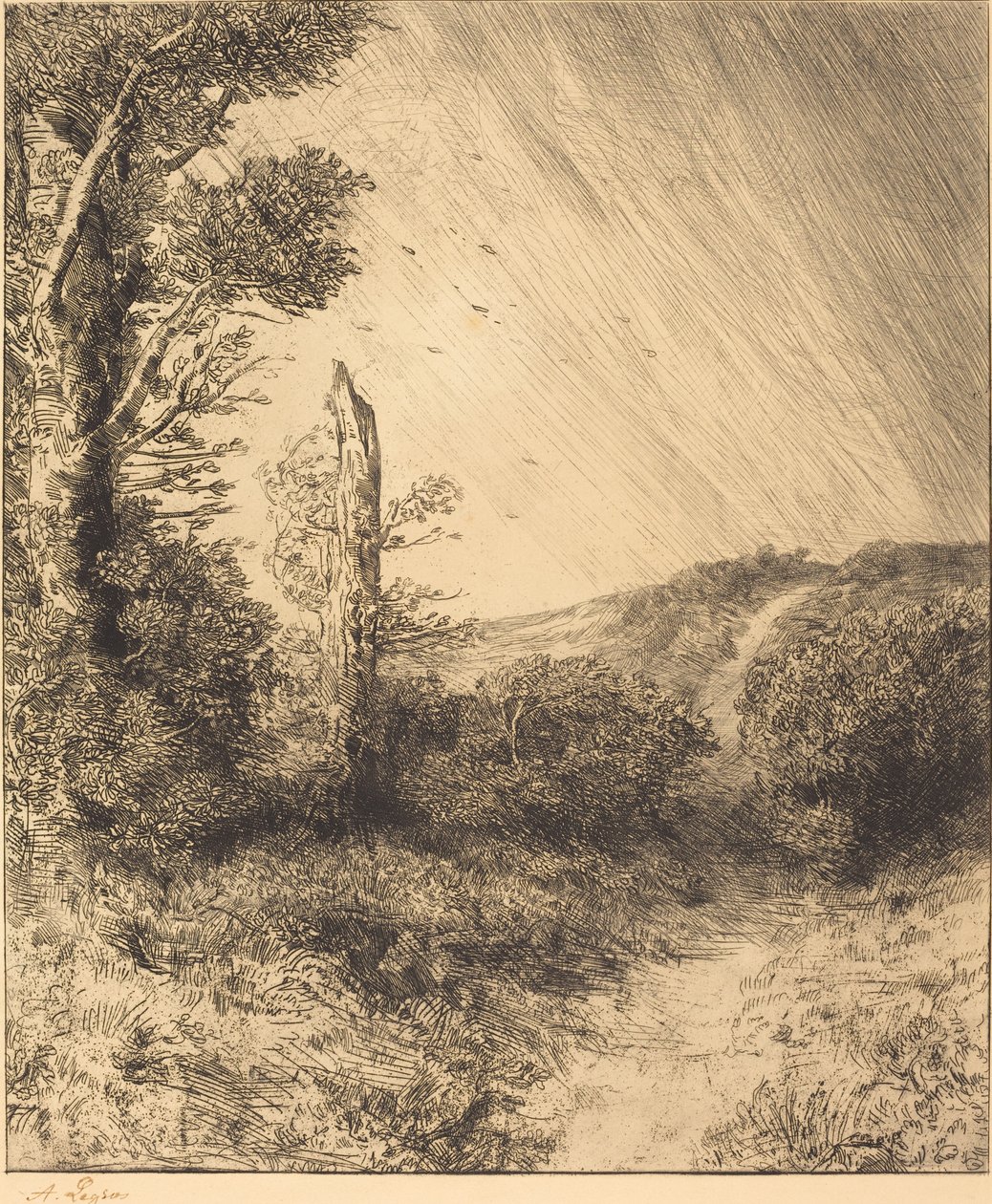 Ráfaga de viento (Le coup de vent) de Alphonse Legros