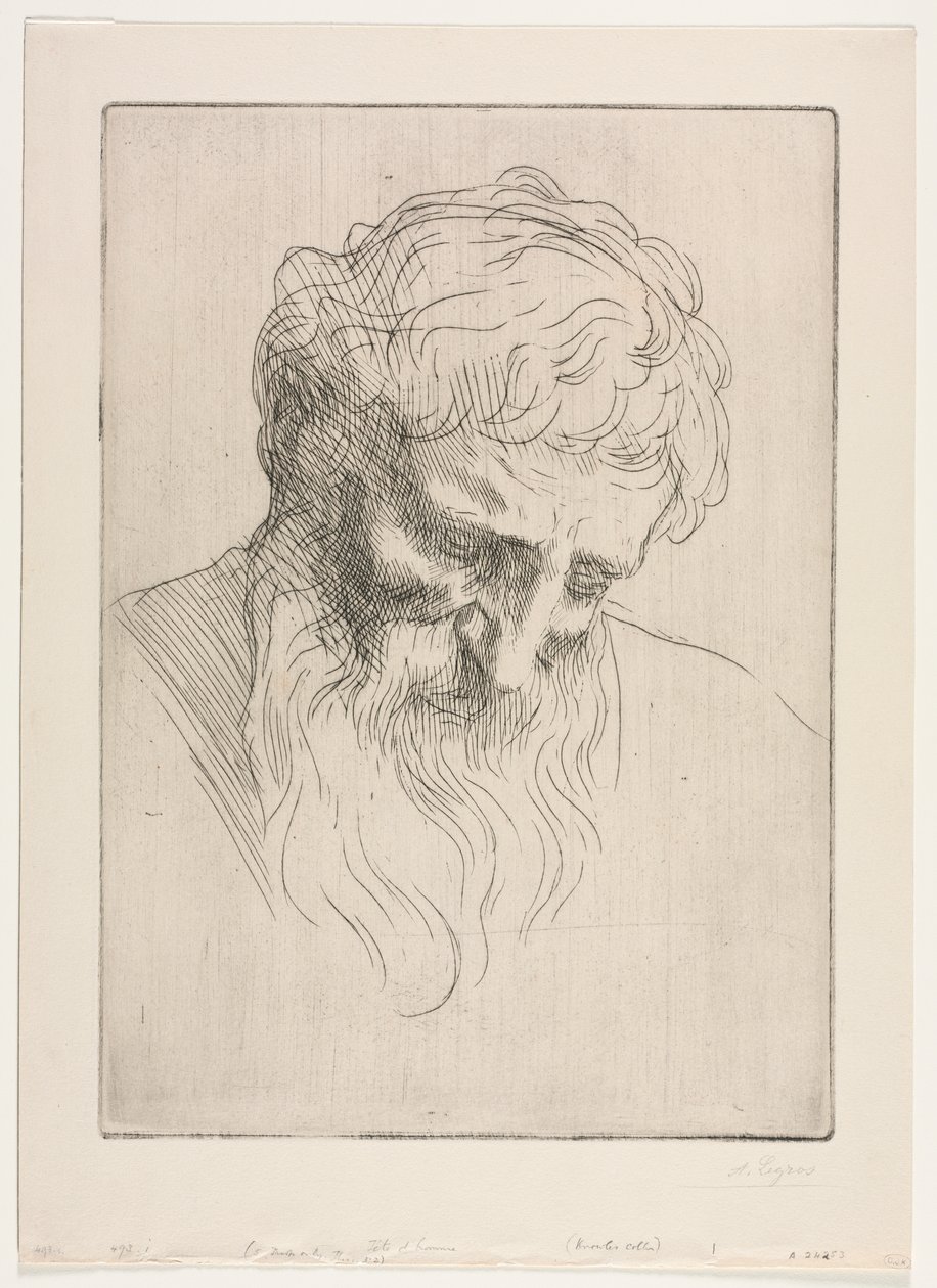 Cabeza de un hombre de Alphonse Legros