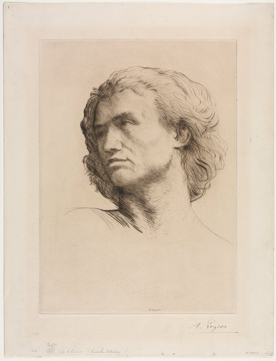 Cabeza de un hombre de Alphonse Legros