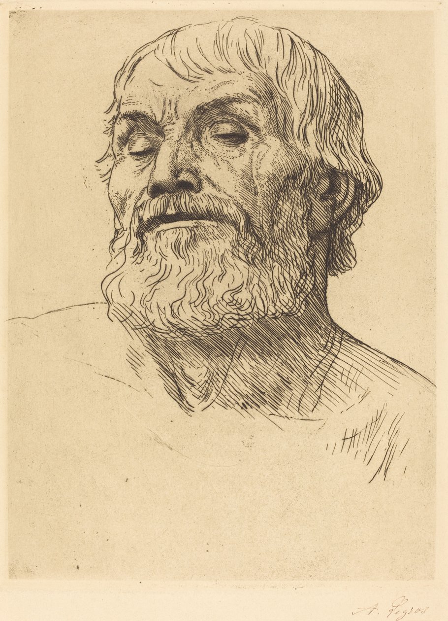 Cabeza de un hombre de Alphonse Legros