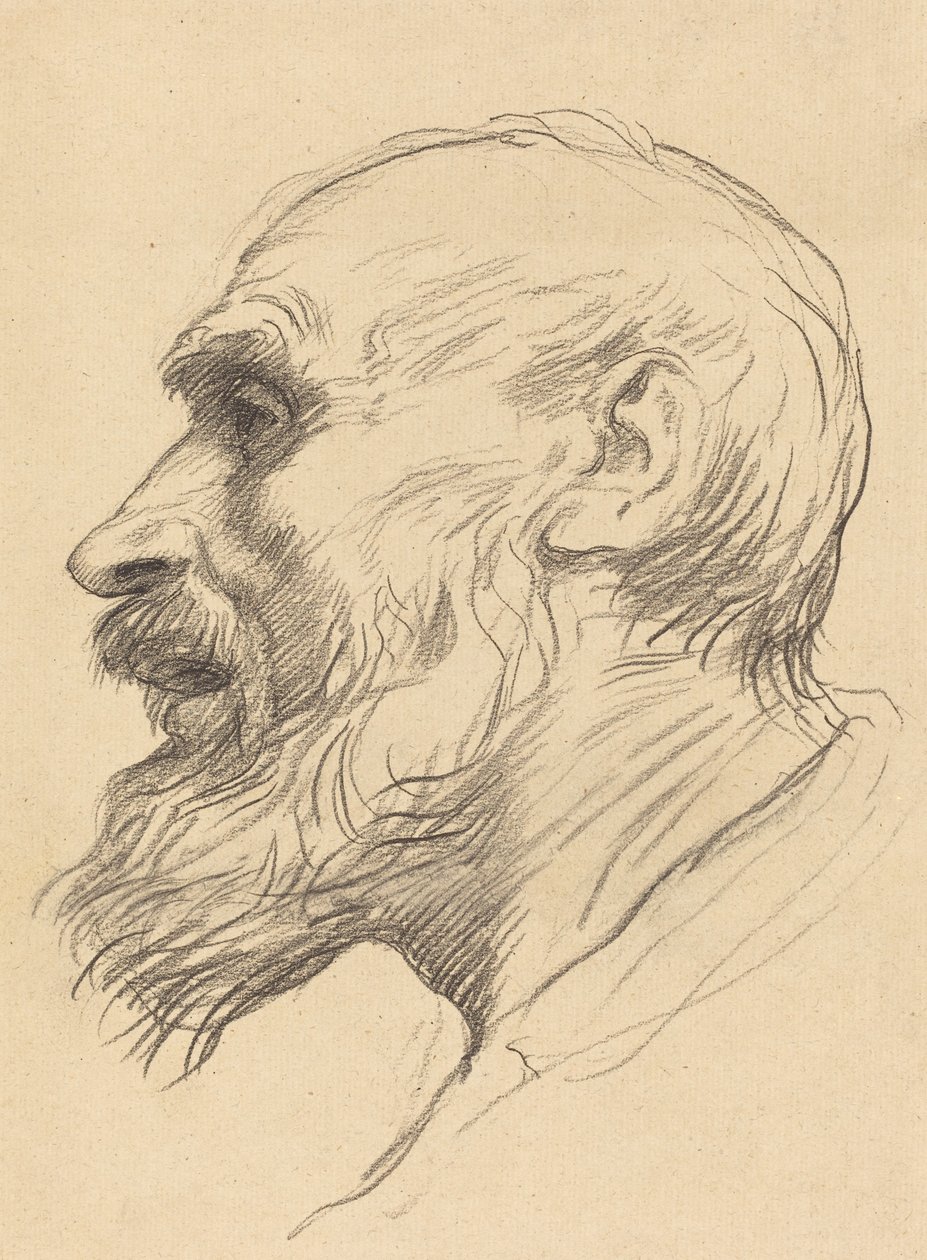 Cabeza de un anciano de Alphonse Legros