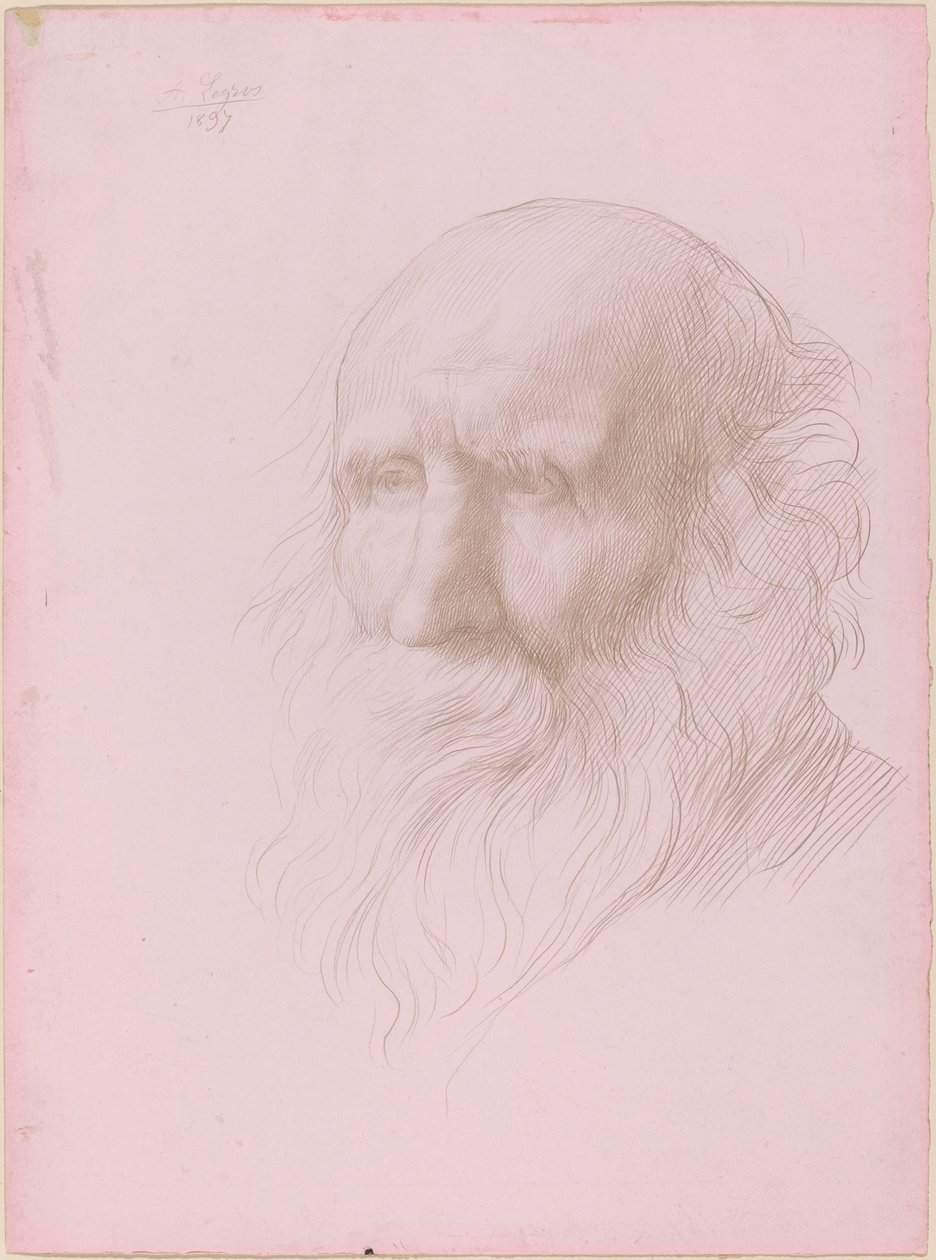 Cabeza de un anciano de Alphonse Legros