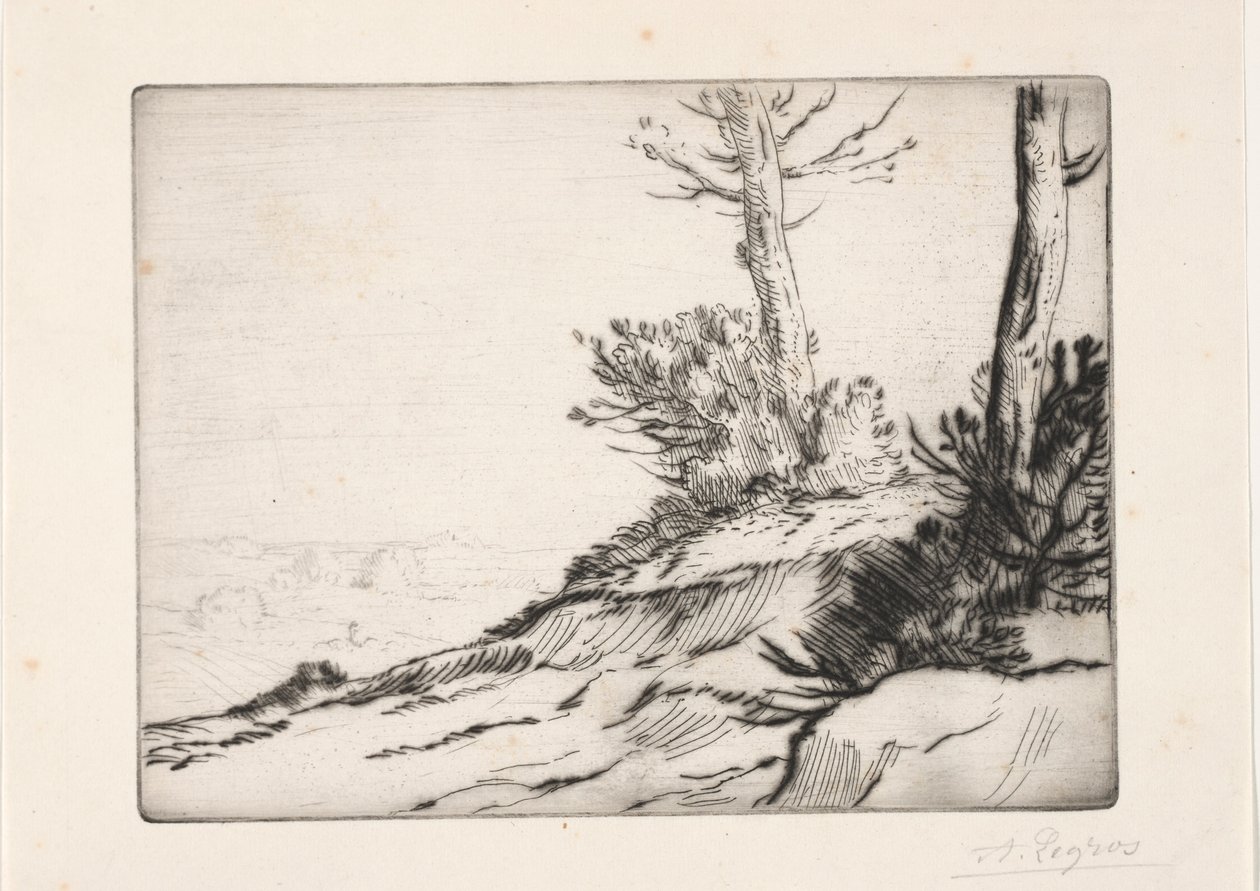 La colina de los matorrales de Alphonse Legros