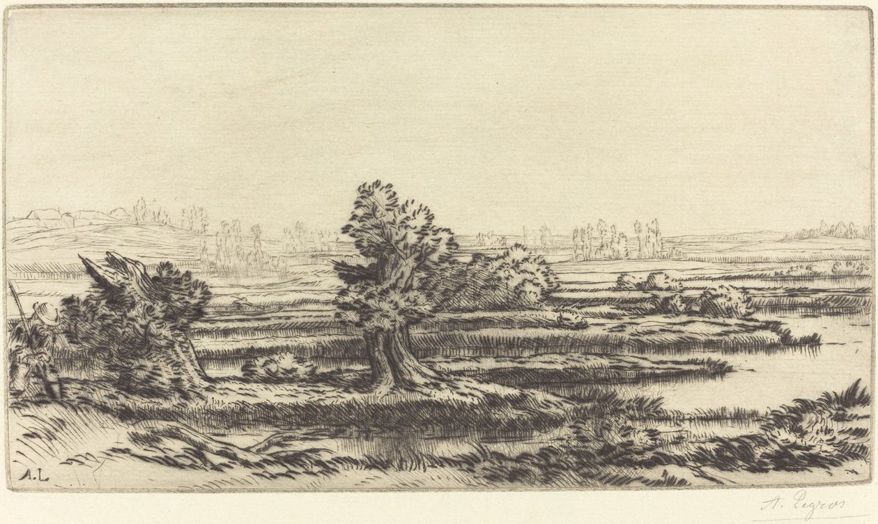 Turberas (Les Tourbières) de Alphonse Legros