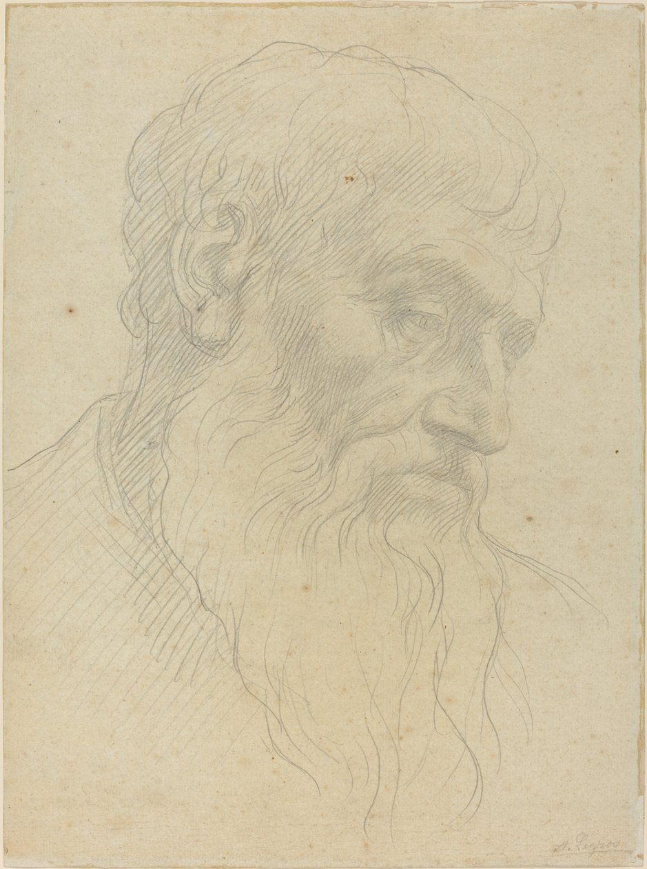 Estudio de una cabeza de Alphonse Legros