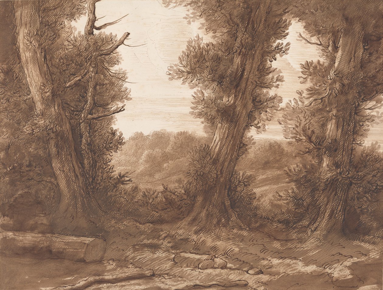 Los Grandes Árboles de Alphonse Legros