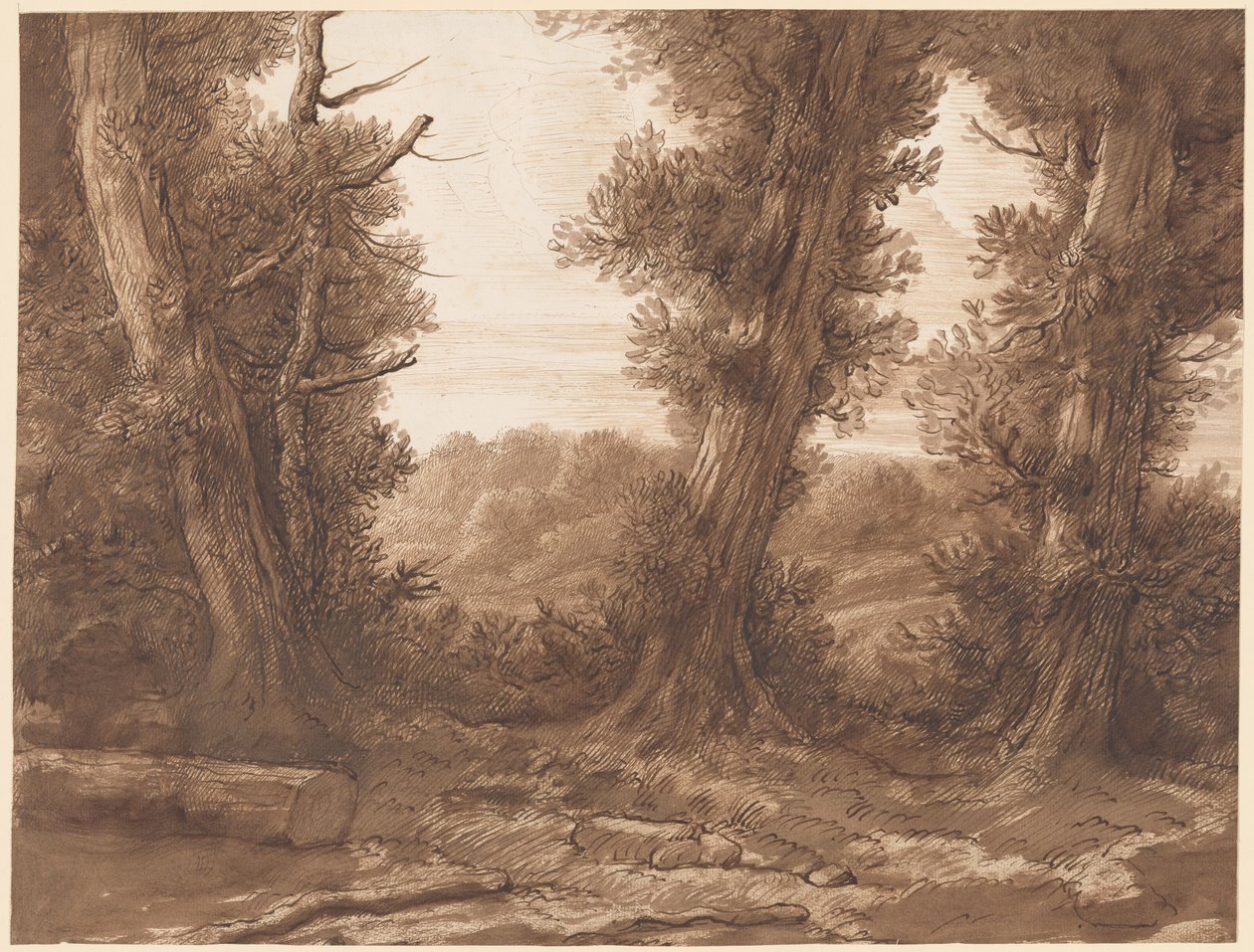 Los grandes árboles de Alphonse Legros