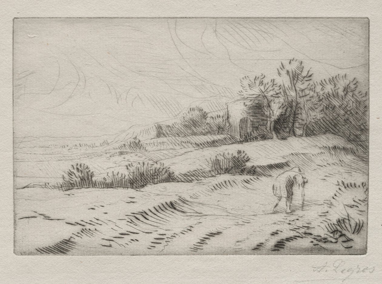 La Torre de Alphonse Legros