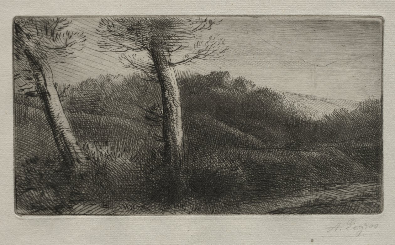 El Viajero Tumbado en la Hierba de Alphonse Legros