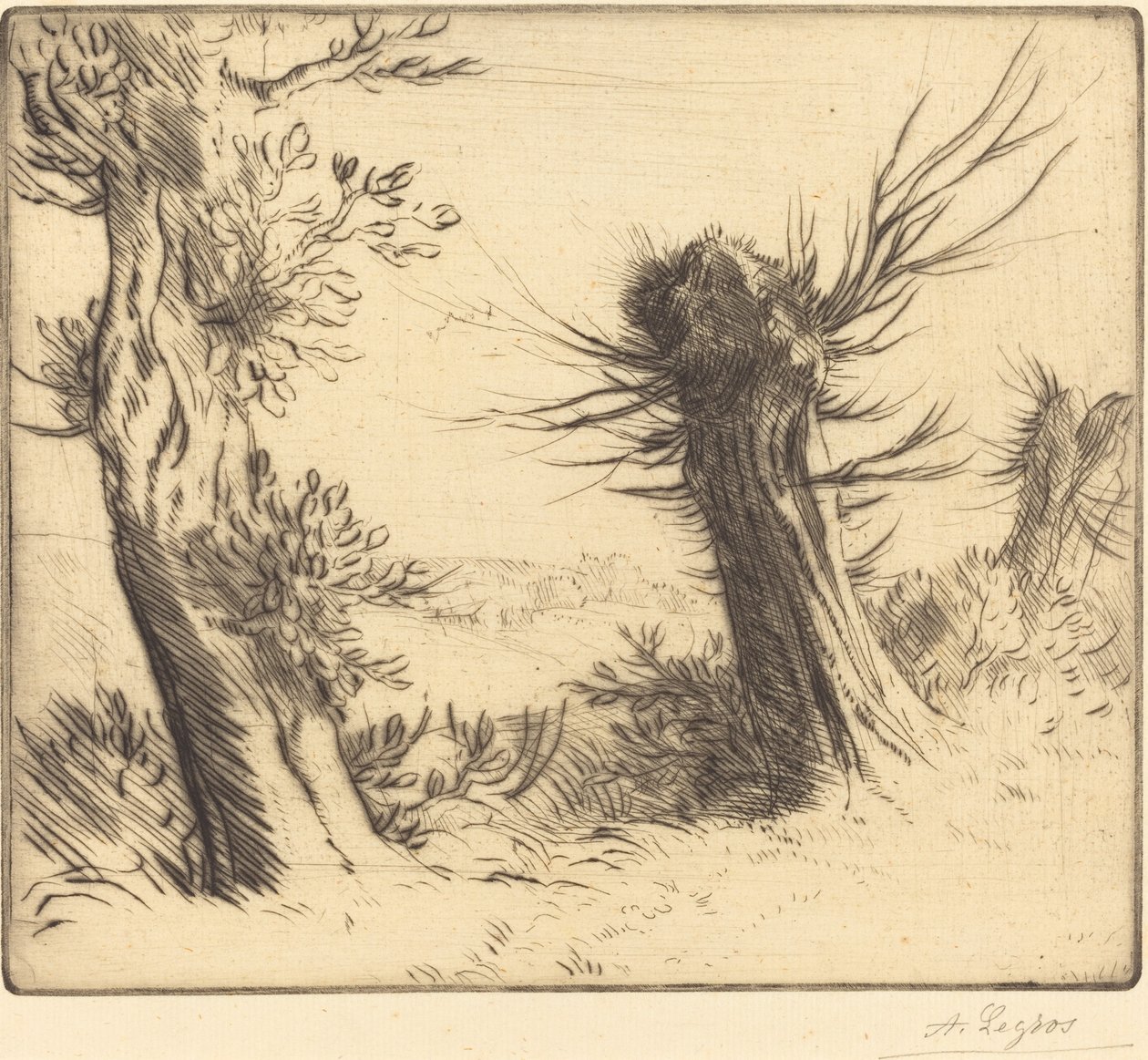 Sauces de Alphonse Legros