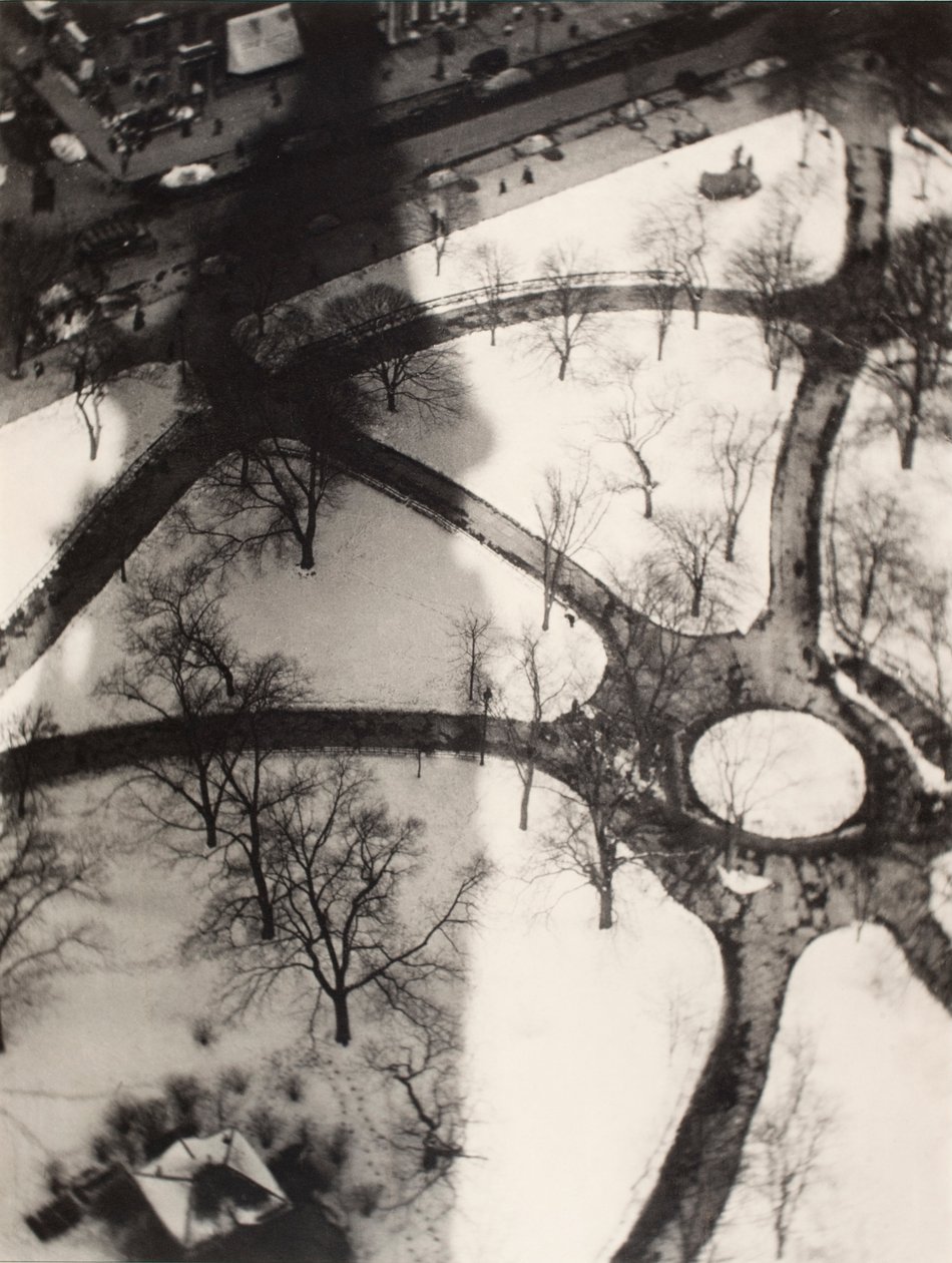 El pulpo, Nueva York de Alvin Langdon Coburn