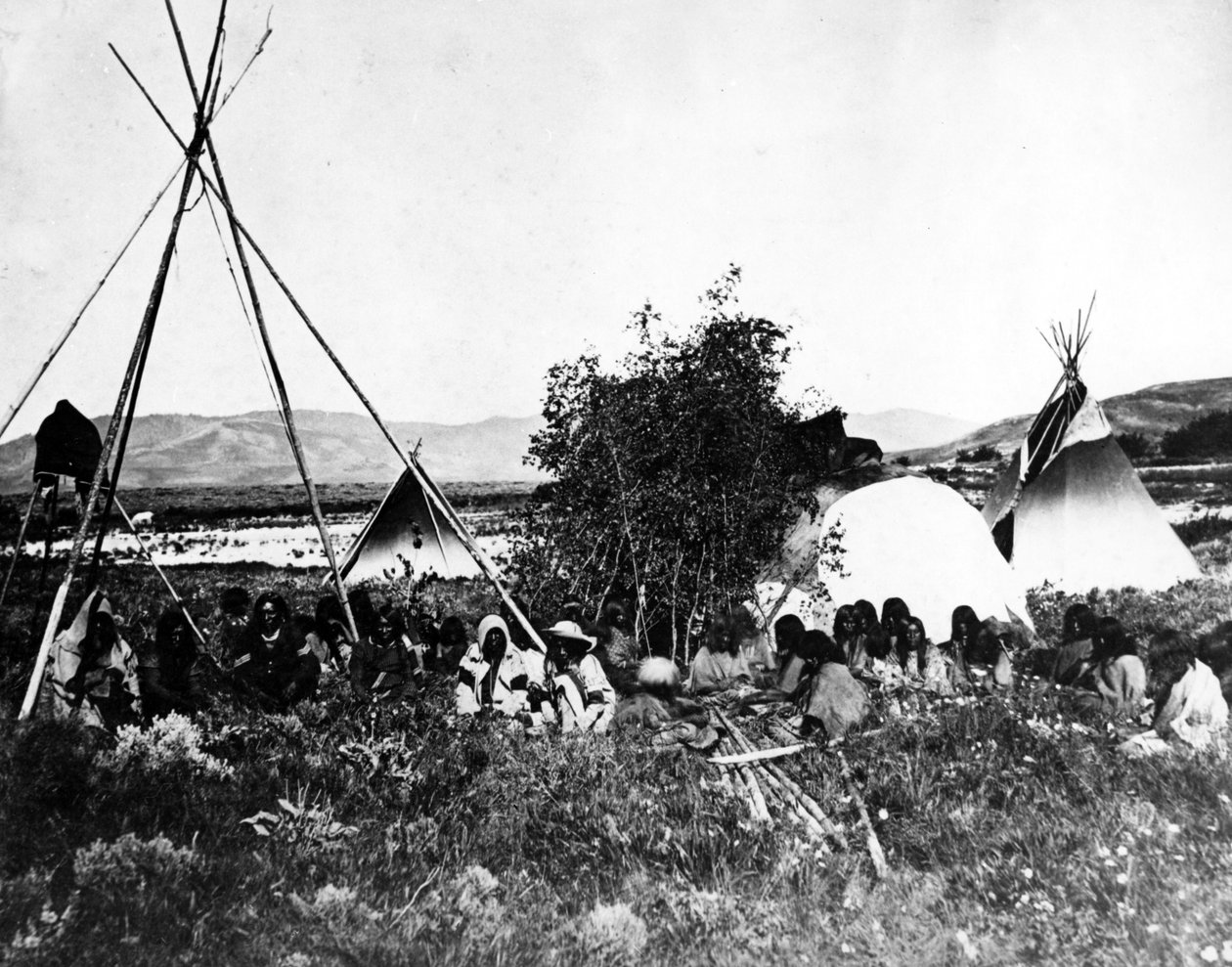 Indios americanos con tipis, c.1870s de American Photographer
