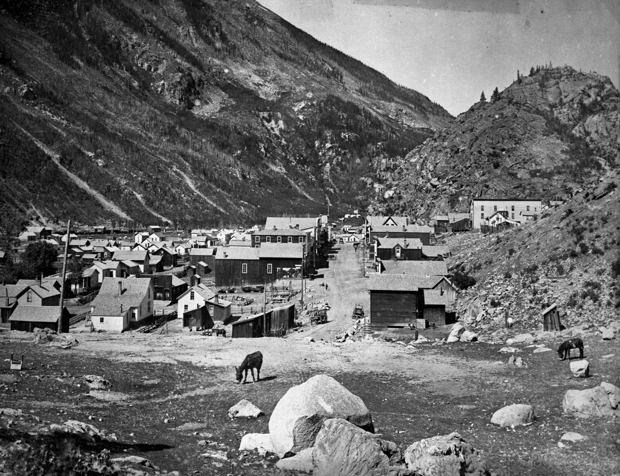 Silver Plume - antes del incendio del 5 de noviembre de 1884, c.1880-84 de American Photographer