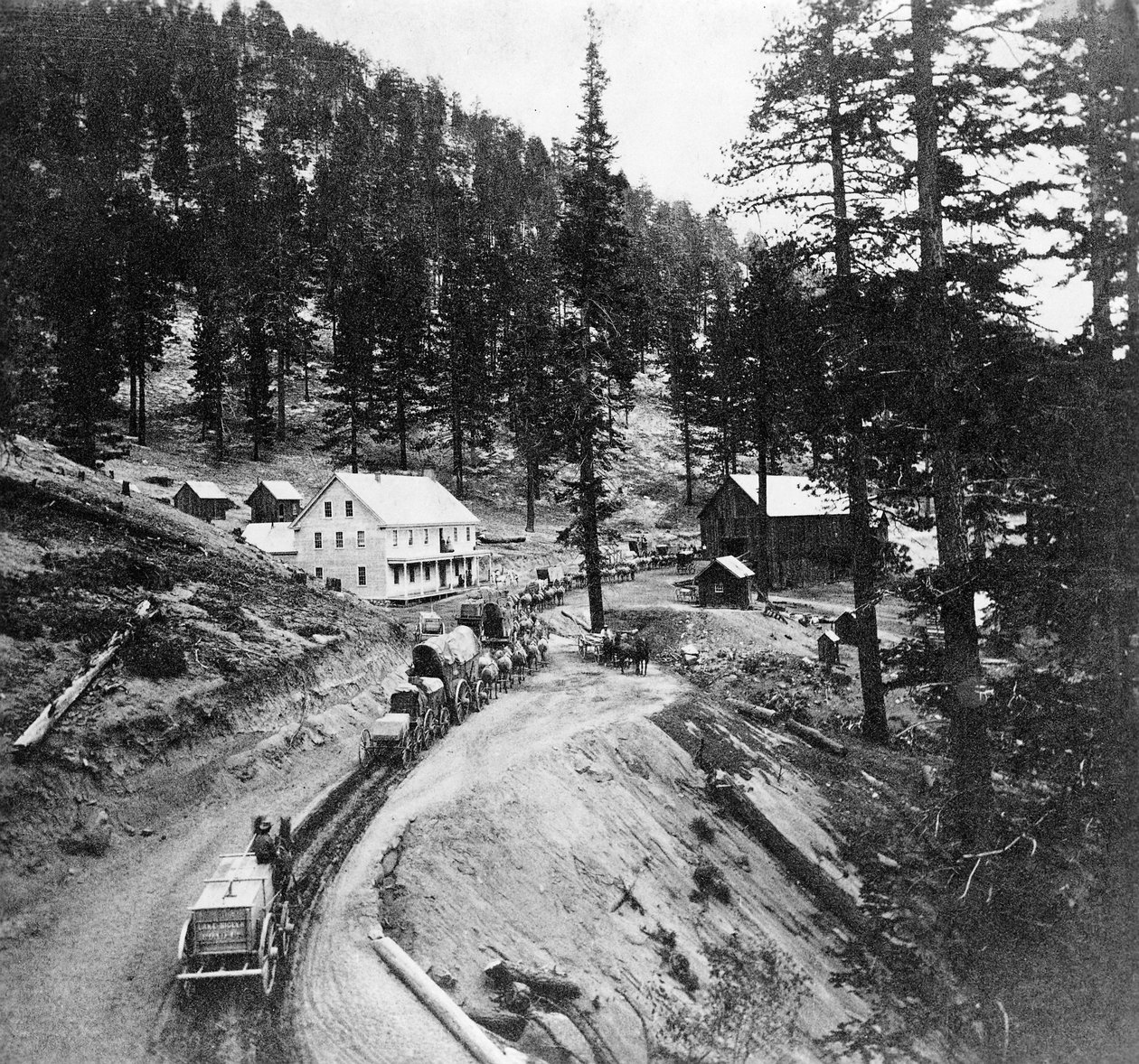 Estación Swifts, Camino Carson y Lake Bigler, California, de Gems of California Scenery publicado por Lawrence and Houseworth, 1866 de American Photographer