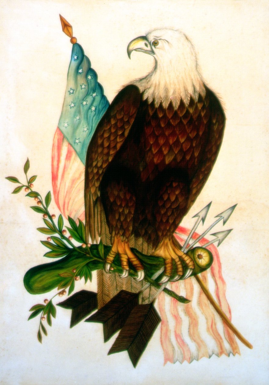 Águila calva con bandera de American School