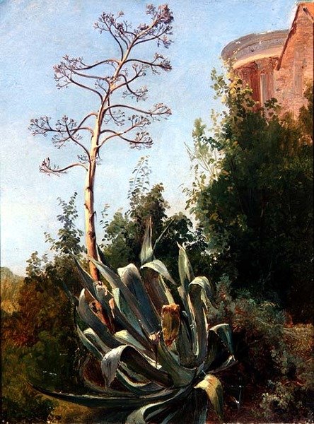 Paisaje; sur de Italia de Anders Christian Lunde