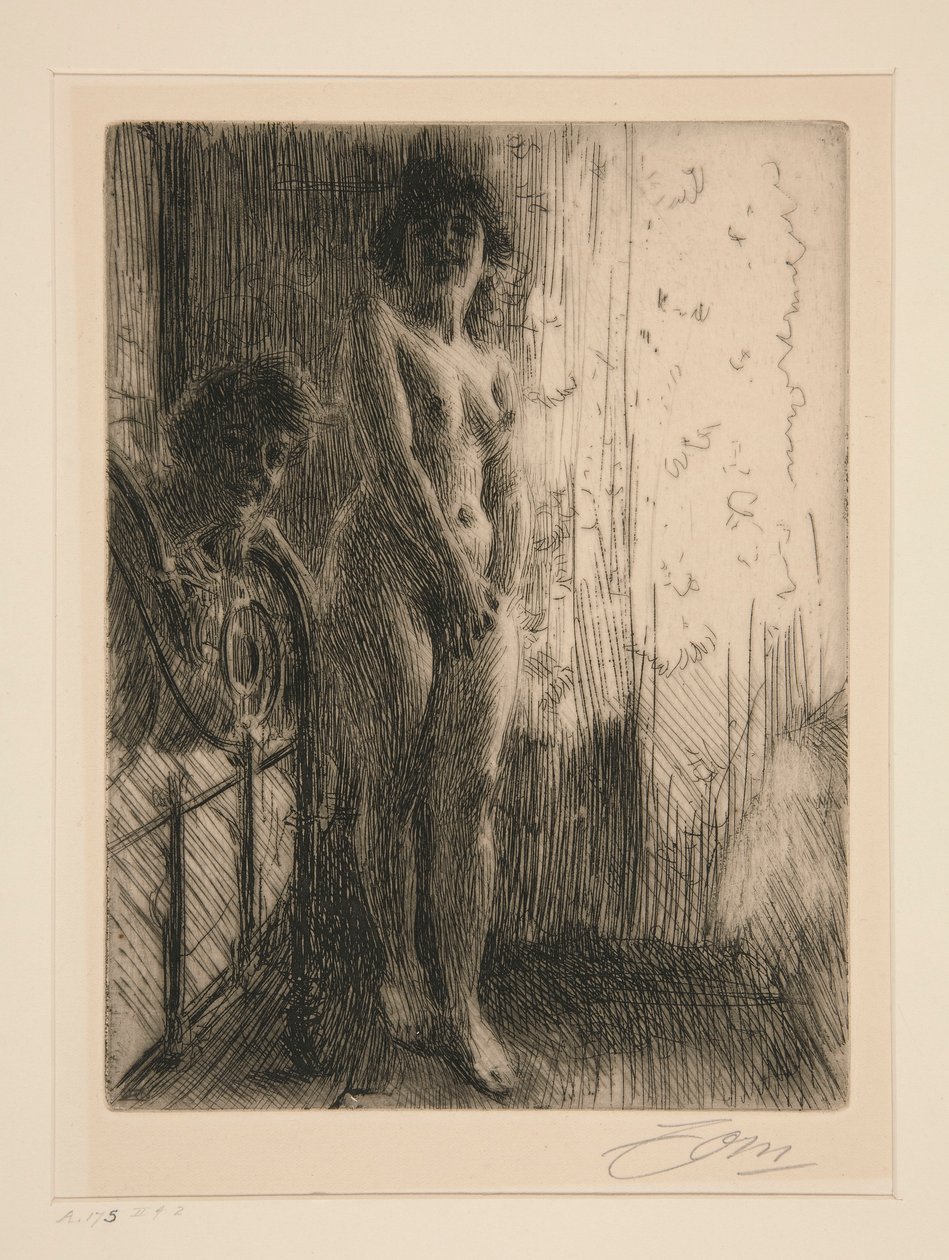 un rincón oscuro de Anders Leonard Zorn