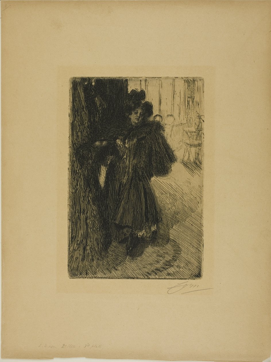Efecto de noche II de Anders Leonard Zorn