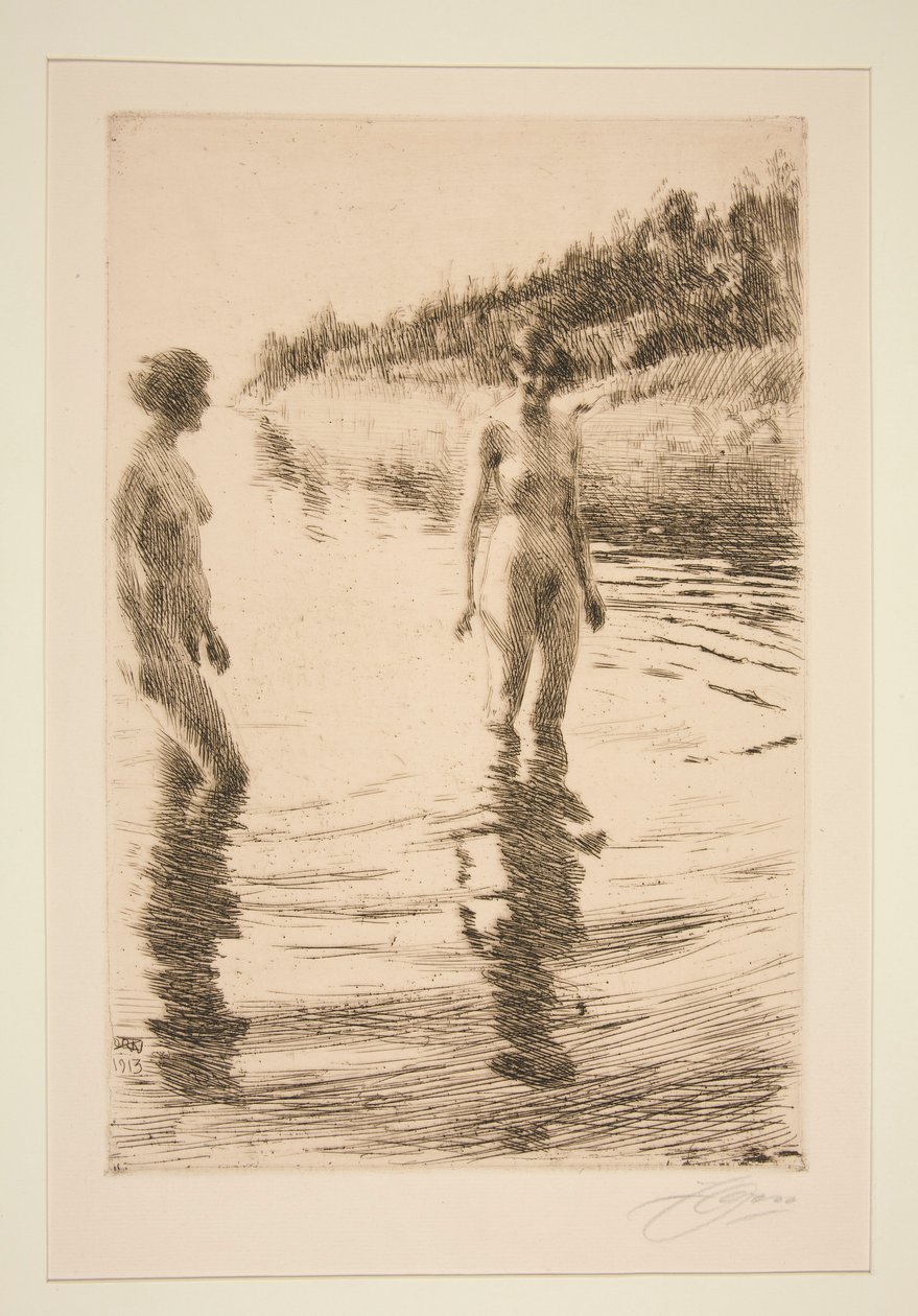 Poco profundo de Anders Leonard Zorn