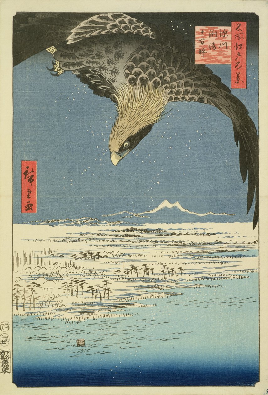 Águila sobre la llanura de 100,000 acres en Susaki, Fukagawa (