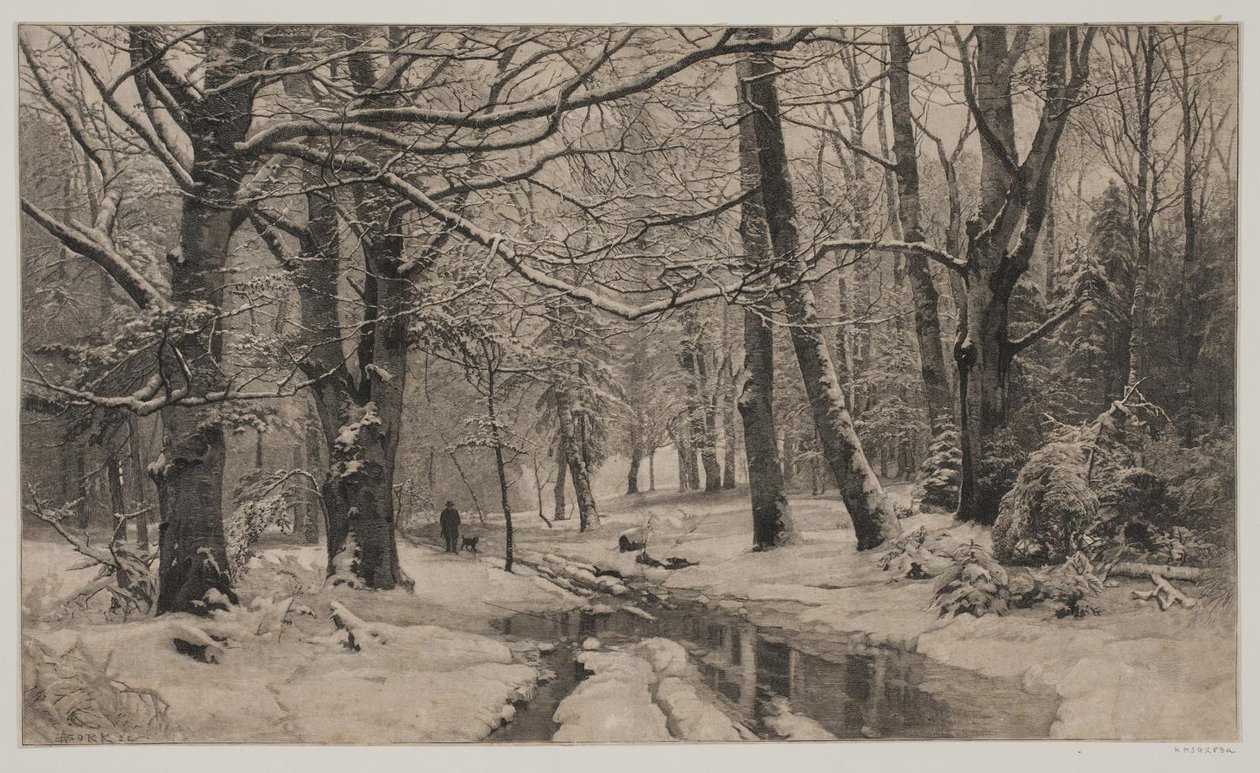 Día de invierno en un bosque de André Bork