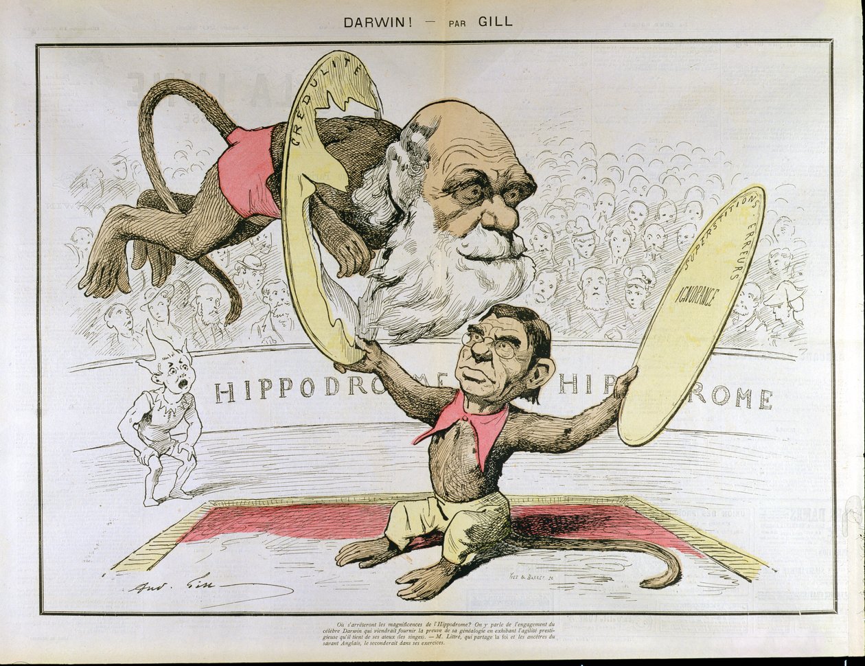 Caricatura de Charles Darwin y Emile Littre representándolos como monos en un circo de Andre Gill