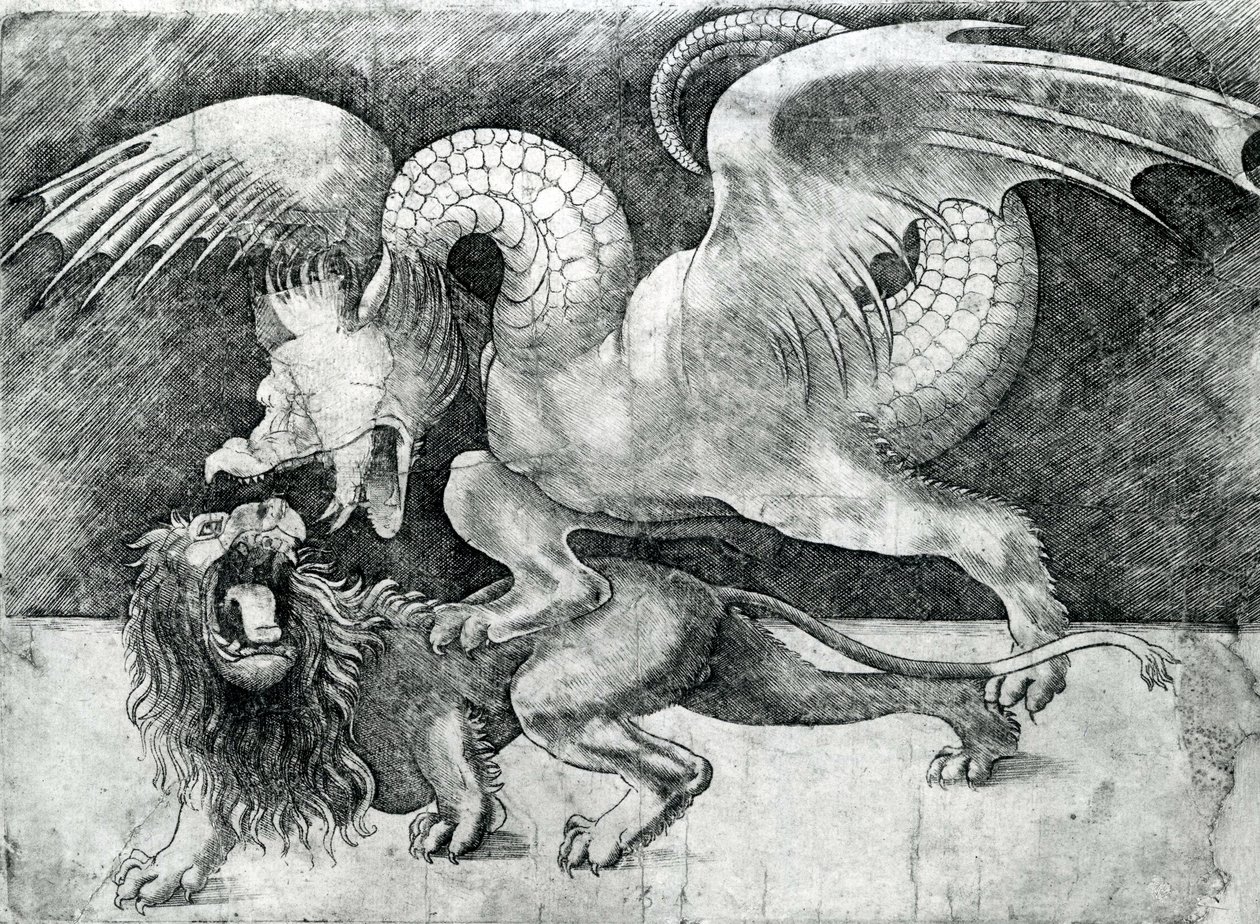 Dragón luchando contra un león de Andrea Zoan