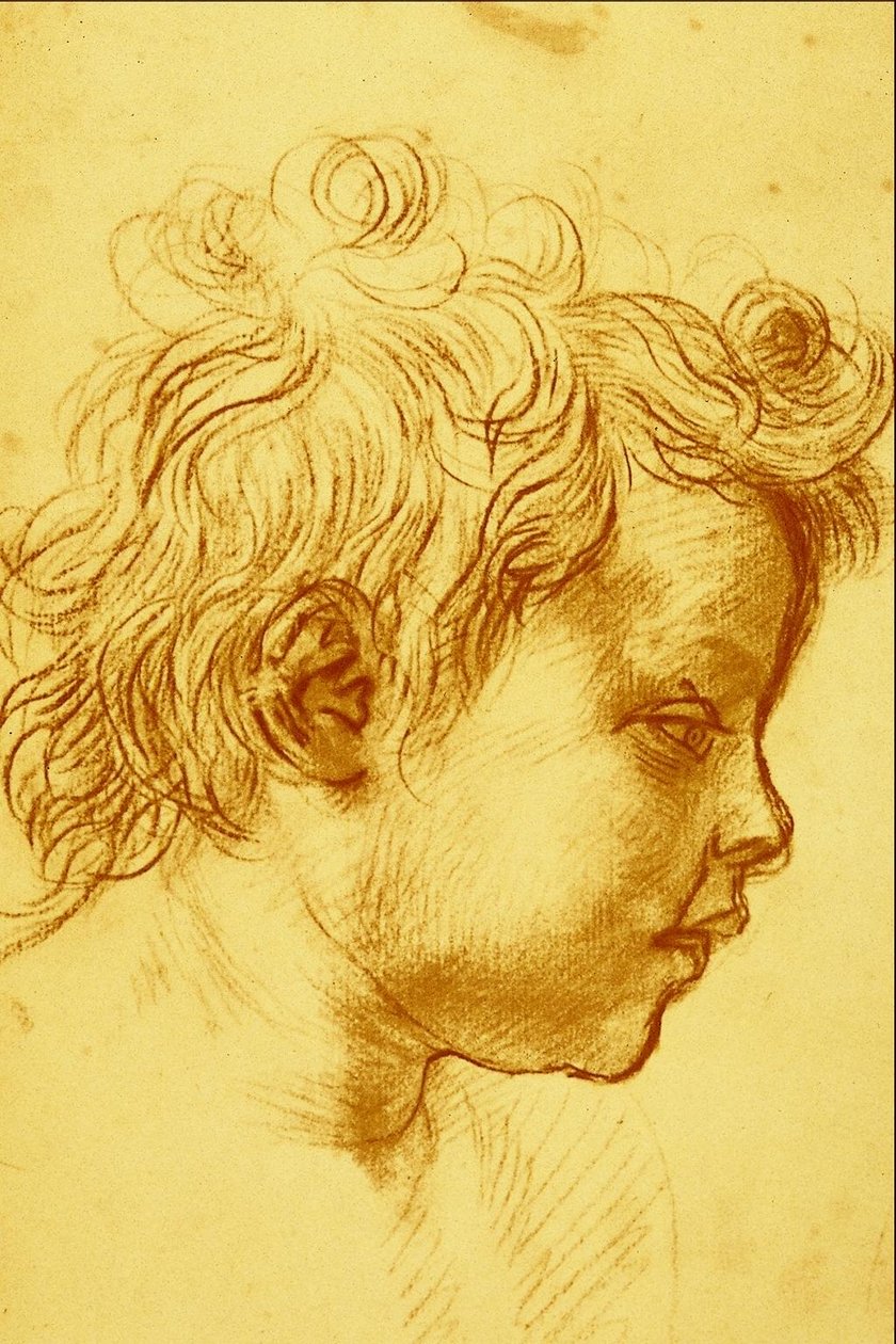 Cabeza de un hombre de perfil mirando a la izquierda de Andrea del Sarto