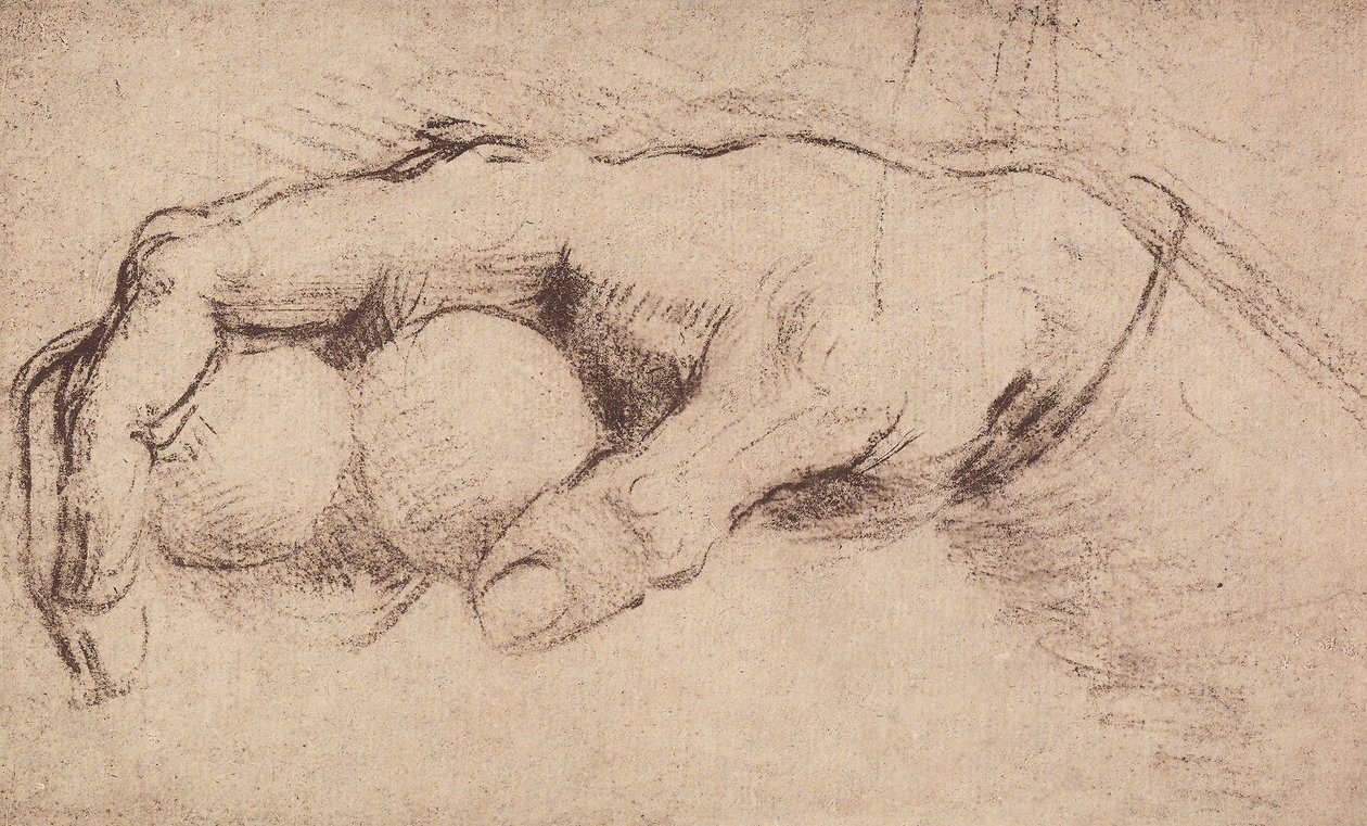 Una mano de Andrea del Sarto