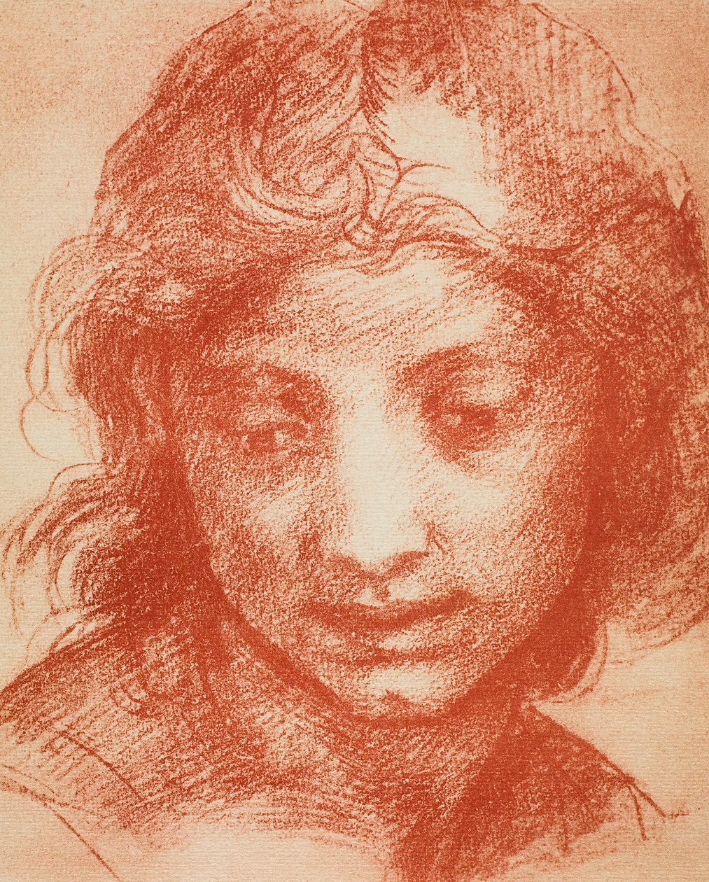 Cabeza de niño de Andrea del Sarto
